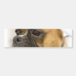 Boxer Dog Face Bumper Sticker