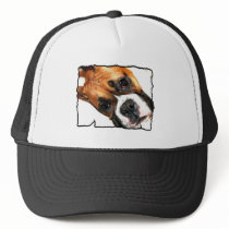 Boxer dog hat