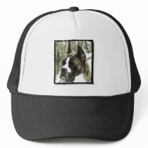Boxer dog hat