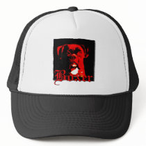 Boxer dog hat