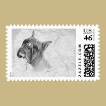 Boxer Dog Head stamps