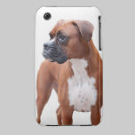 Boxer dog iPhone 3 case casemate cases