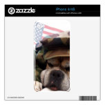 Boxer dog iphone 4/4s skin skins for iPhone 4