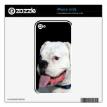 Boxer dog iphone 4/4s skin decals for iPhone 4S