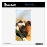 Boxer dog iphone 4/4s skin iPhone 4S decal