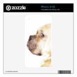 Boxer dog iphone 4/4s skin skin for the iPhone 4S