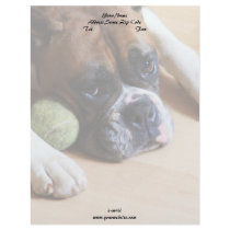 Boxer dog letterhead