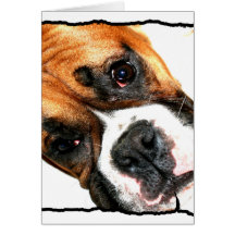 Boxer dog notecard