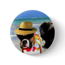 boxer dog on the beach button