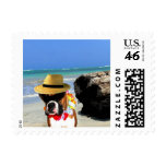 boxer dog on the beach postage postage