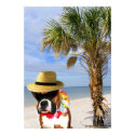Boxer dog on the beach poster posters by ritmoboxer Boxer dog on the beach poster posters