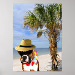 Boxer dog on the beach poster posters