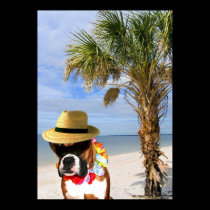 Boxer dog on the beach poster posters