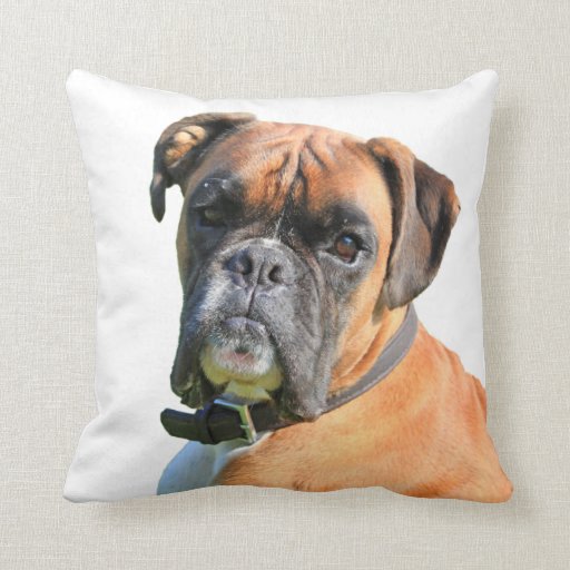 boxer cushion