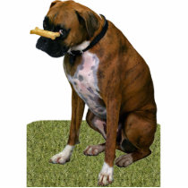 Boxer Dog photo sculptures by Photo_Sculpture_Shop Boxer Dog photo sculptures