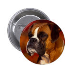Boxer dog pinback button