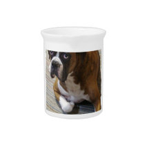 Boxer Dog Pitcher