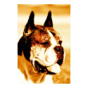 Boxer Dog Portrait canvas print by ritmoboxer Boxer Dog Portrait canvas print