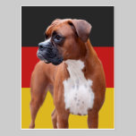 Boxer dog postcards