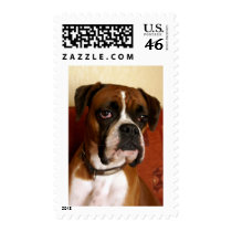 Boxer Dog postage by ironydesignphotos Boxer Dog postage