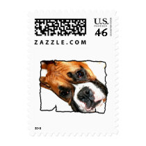 Boxer dog postage