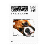 Boxer dog postage postage