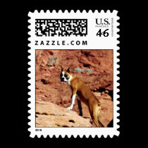 Boxer Dog Postage 1Sm postage by mickeyelvis128 Boxer Dog Postage 1Sm postage