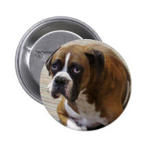 Boxer Dog Round Button
