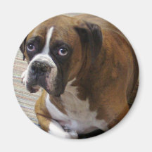 Boxer Dog Round Magnet
