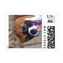 Boxer Dog small stamps