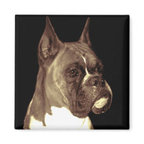 Boxer Dog square magnet