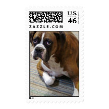 Boxer Dog Stamp
