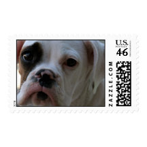 Boxer Dog Stamp