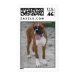 Boxer Dog Stamp 2