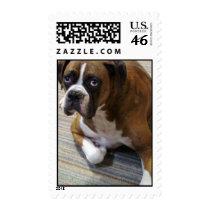 Boxer Dog Stamp
