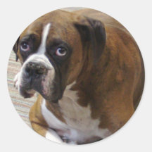 Boxer Dog Sticker