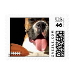 Boxer dog with football postage postage