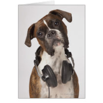 boxer dog with headphones card