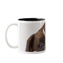 boxer dog with headphones mugs