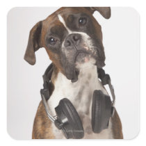boxer dog with headphones square stickers
