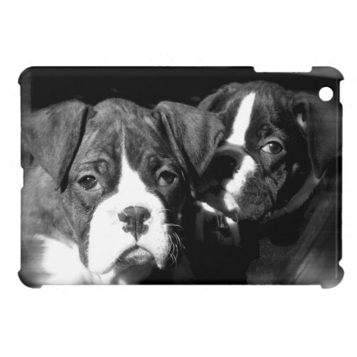 Boxer dogs ipad Mini Case