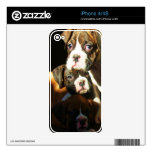 Boxer dogs iphone 4/4s skin decal for the iPhone 4