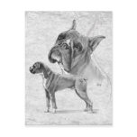 Boxer Dogs postcards