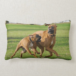 funny dog pillows