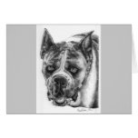 Boxer Drawing Greeting Card