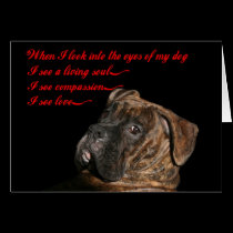 Boxer: Eyes of my dog cards