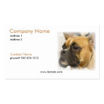 Boxer Face Business Card