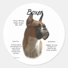 Boxer (fawn) History Design Sticker