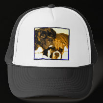 Boxer friends hat hats