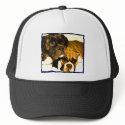 Boxer friends hat by ritmoboxer Boxer friends hat